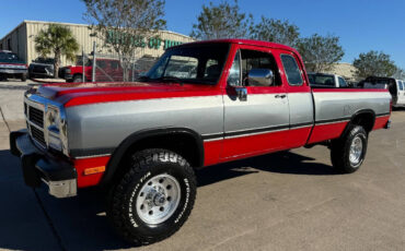 Dodge-Other-Pickups-Pickup-1993-2