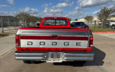 Dodge-Other-Pickups-Pickup-1993-4