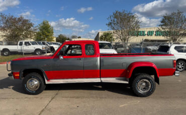 Dodge-Other-Pickups-Pickup-1993-5