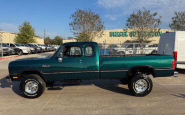 Dodge-Other-Pickups-Pickup-1993-6