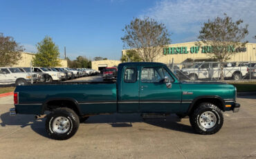 Dodge-Other-Pickups-Pickup-1993-7