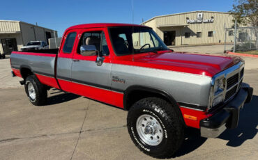 Dodge-Other-Pickups-Pickup-1993-8