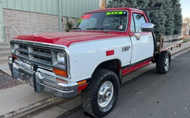 Dodge-Ram-250-diesel-1990-21