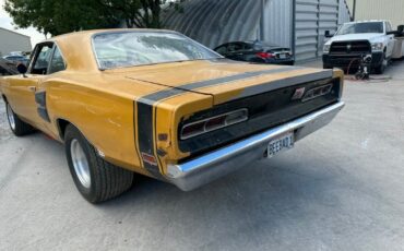 Dodge-Superbee-A12-1969-6