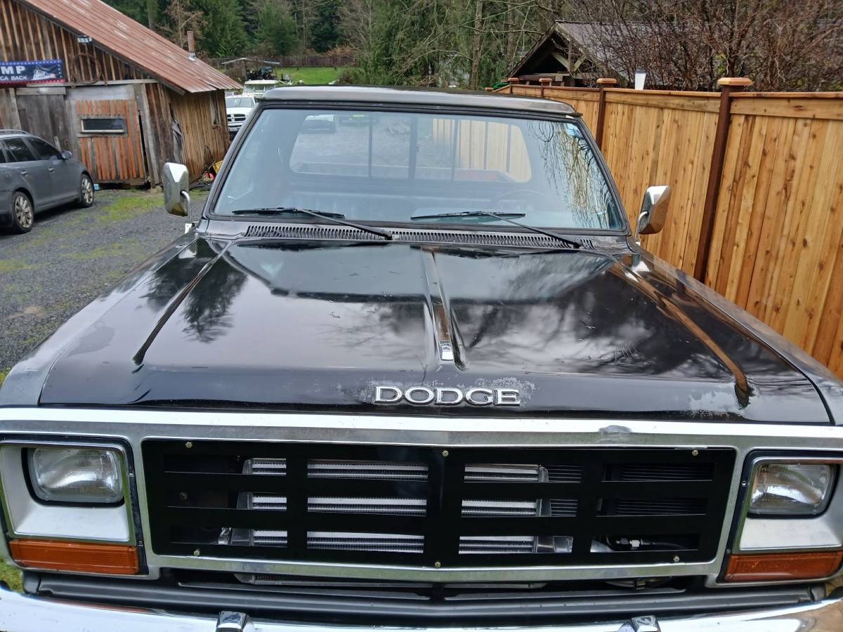 Dodge-W150-diesel-1985-2