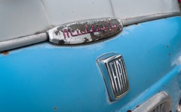 Fiat-Multipla-Van-1963-3