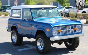 Ford-Bronco-Pickup-1976-10