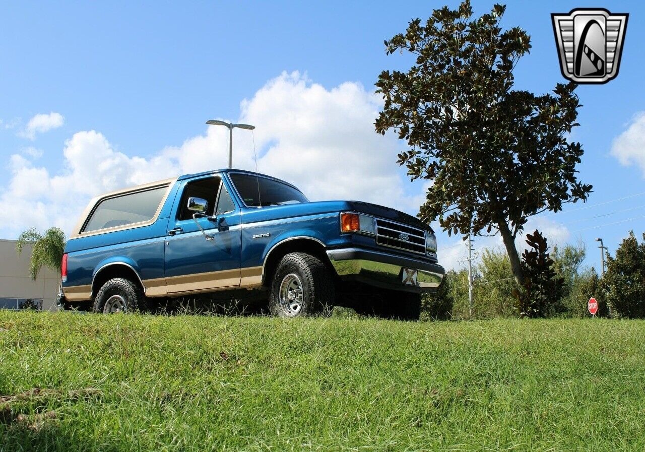 Ford-Bronco-Pickup-1989-3