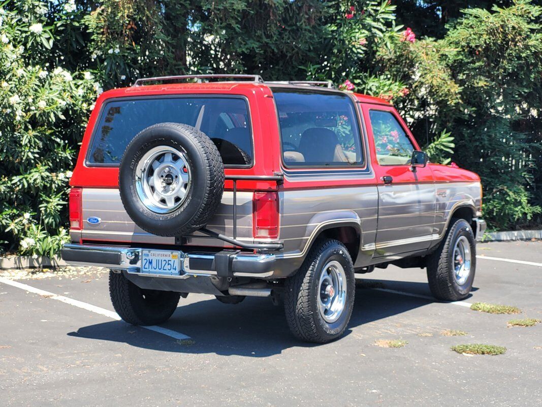 Ford-Bronco-SUV-1989-8