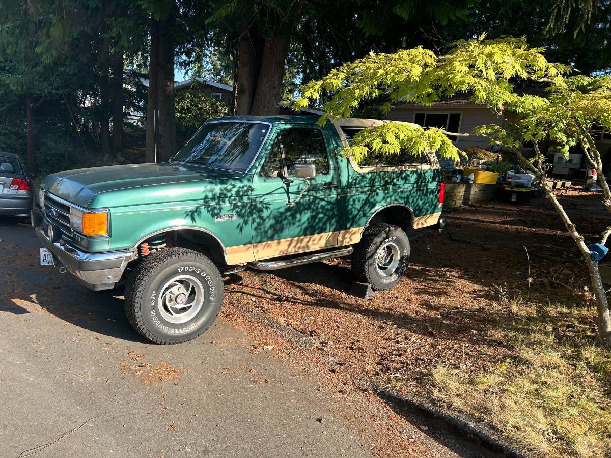 Ford-Bronco-eddie-bauer-1989-13