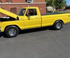 Ford F-100 Pickup 1979 à vendre