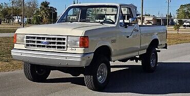 Ford-F-150-1991-1