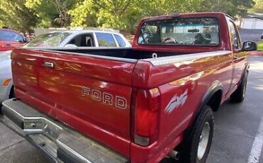 Ford-F-150-1993-4