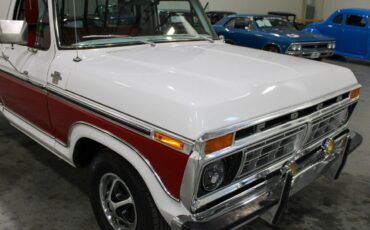 Ford-F-150-Pickup-1977-8