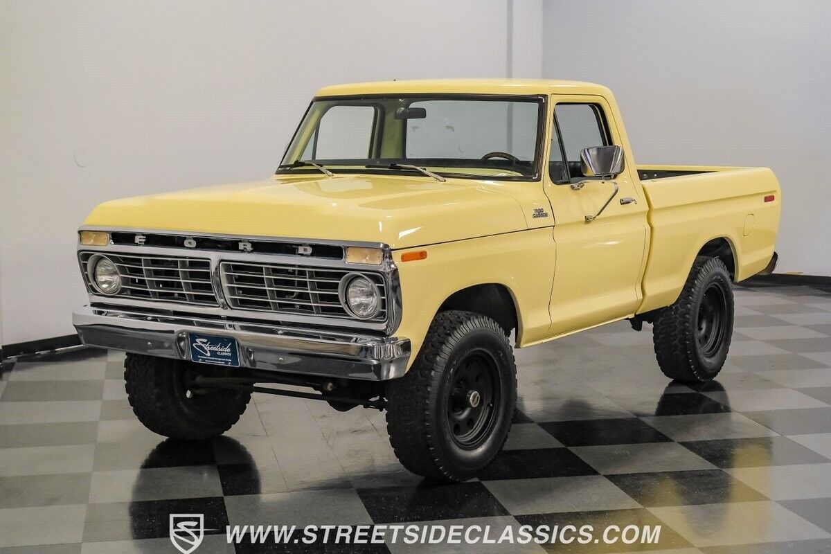 Ford-F-150-Pickup-1979-5