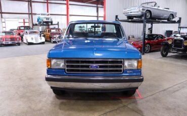 Ford-F-150-Pickup-1990-11