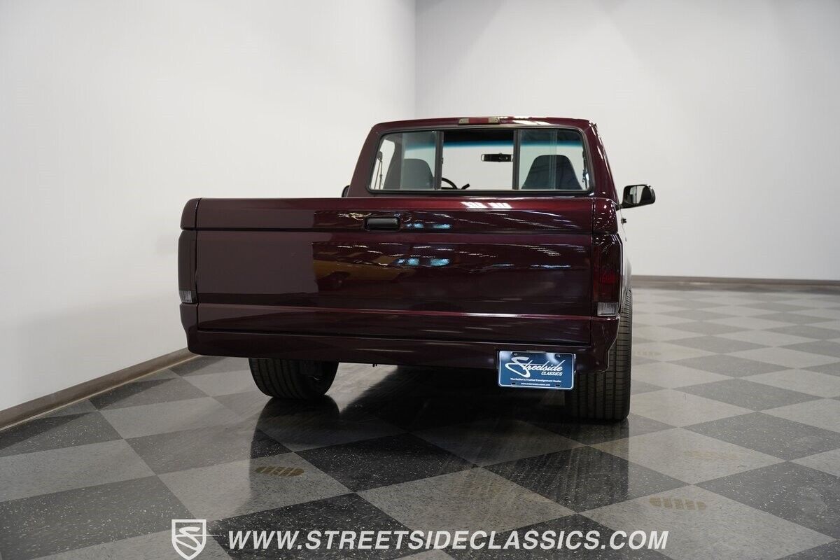 Ford-F-150-Pickup-1995-11