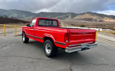 Ford-F-250-1986-9