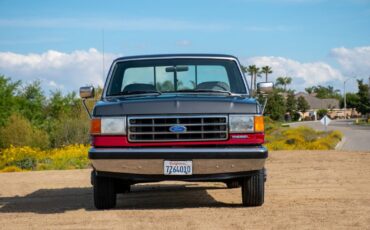 Ford-F-250-1991-3