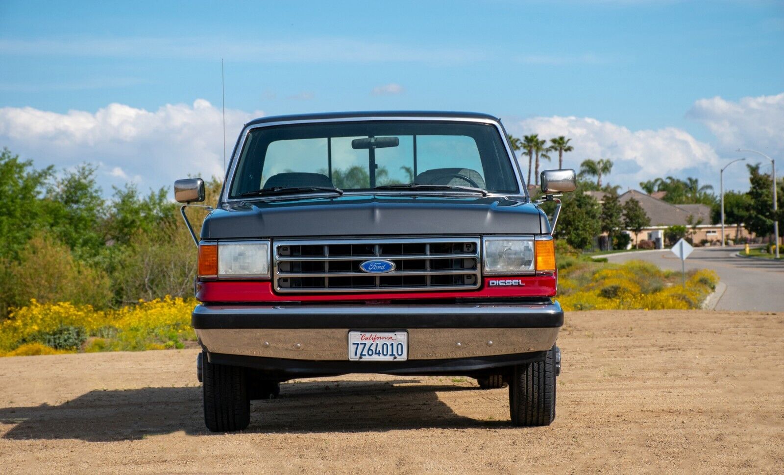 Ford-F-250-1991-3