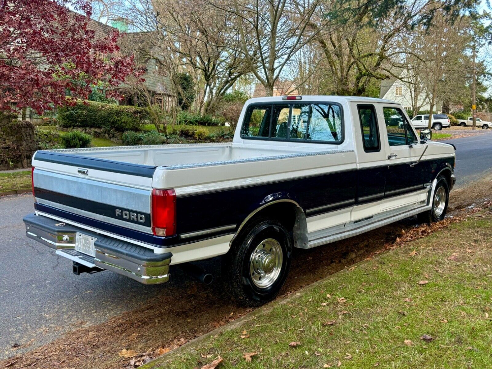 Ford-F-250-1995-3