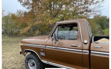 Ford-F-250-Pickup-1976-15