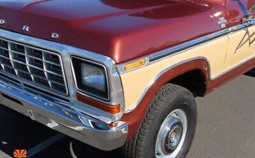 Ford-F-250-Pickup-1978-11