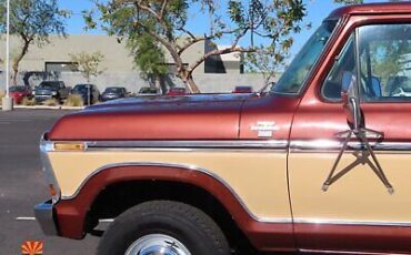 Ford-F-250-Pickup-1978-15