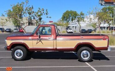 Ford-F-250-Pickup-1978-6