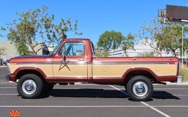 Ford-F-250-Pickup-1978-7