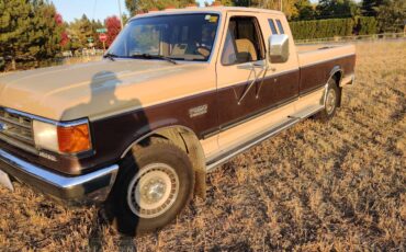 Ford-F-250-diesel-1989-6