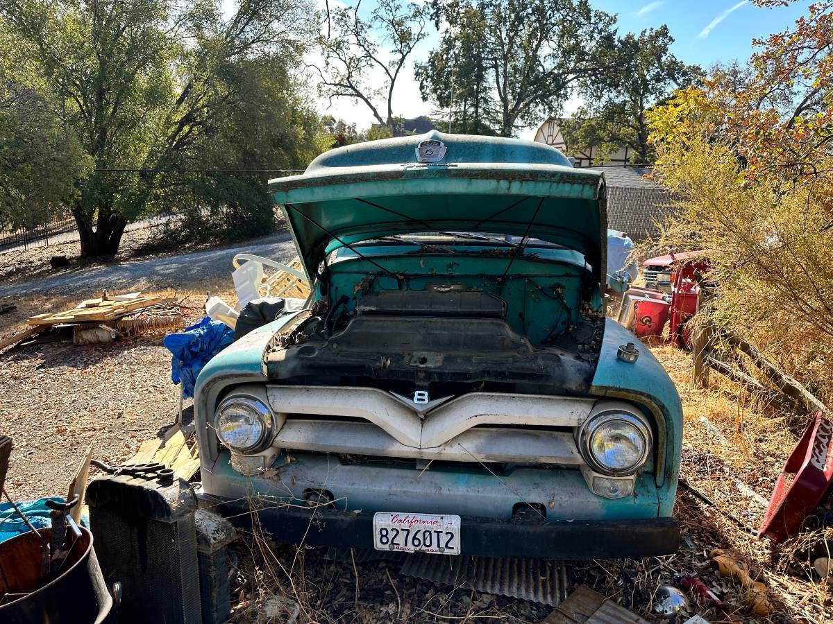 Ford-F100-1955-2