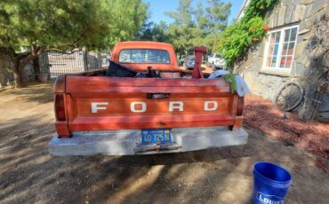 Ford-F100-1965-3