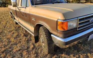 Ford-F250-diesel-1989-4