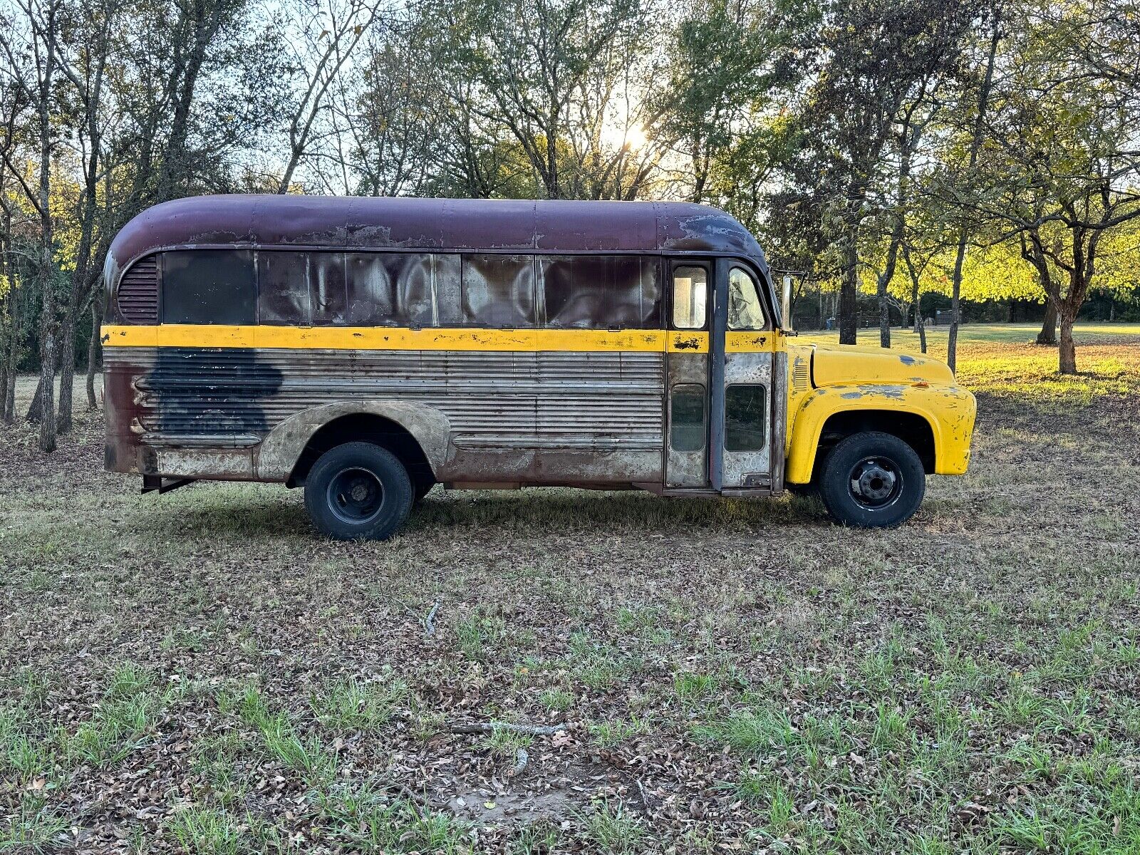 Ford-F500-1955-5