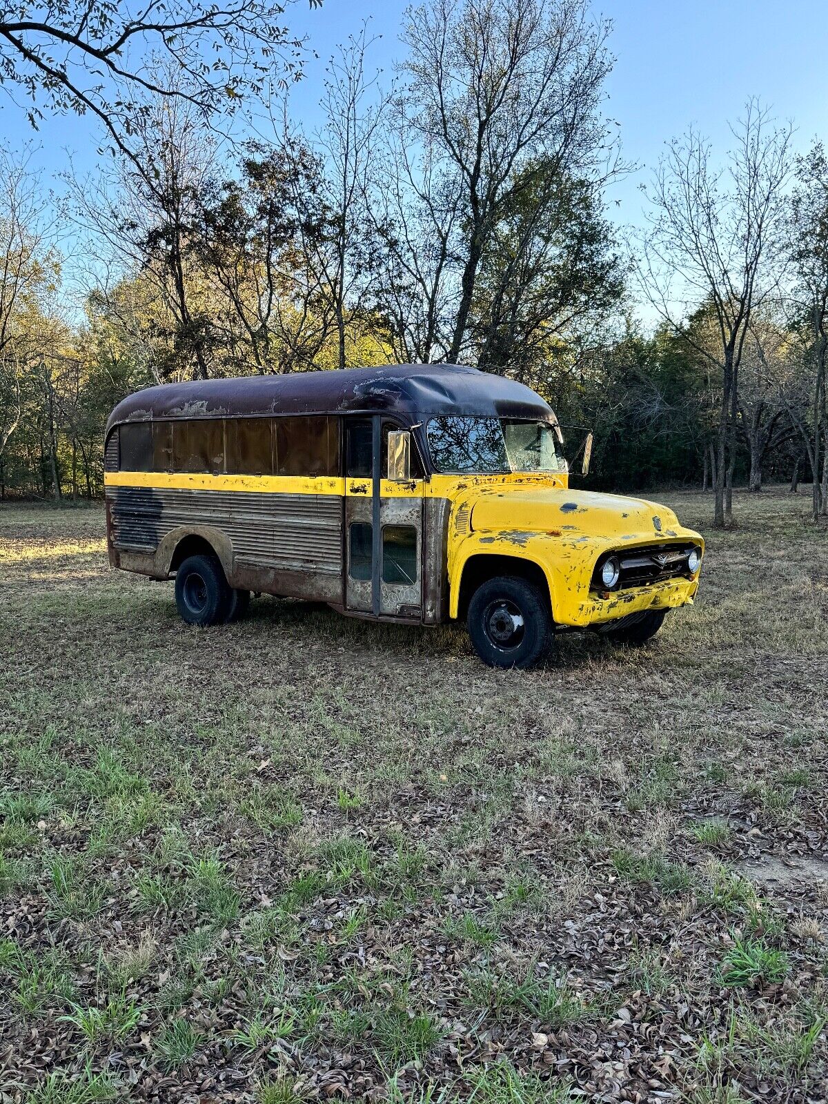 Ford F500  1955