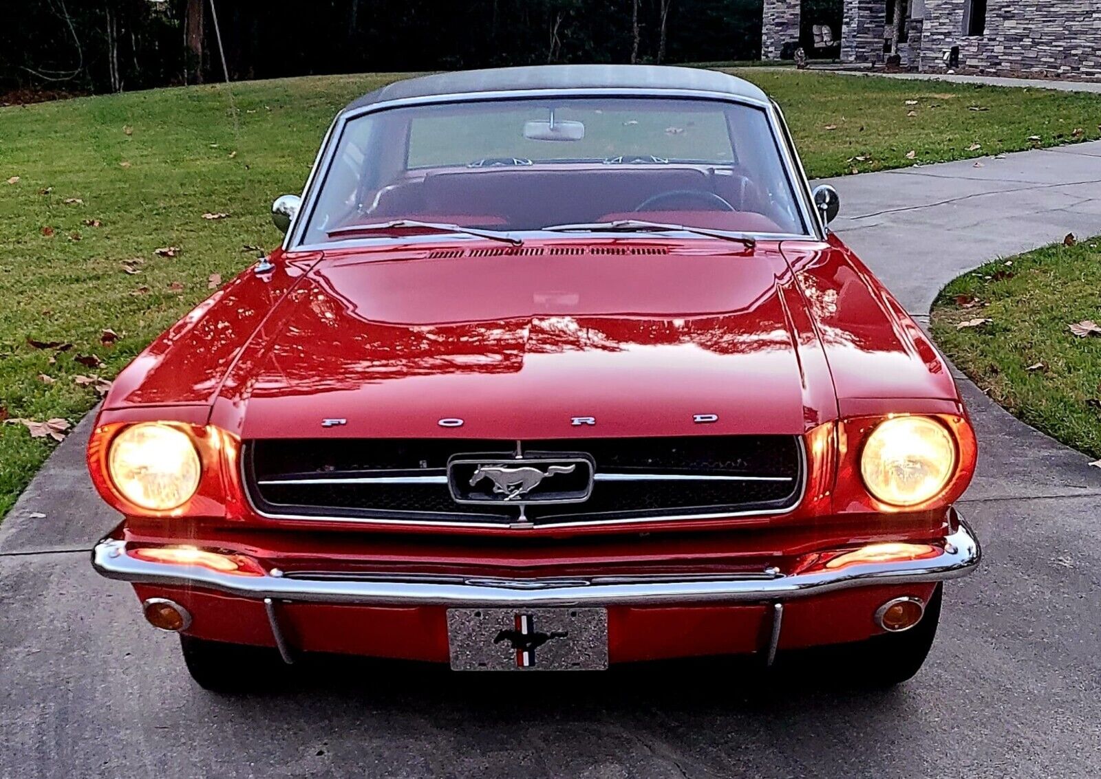 Ford-Mustang-1965-1