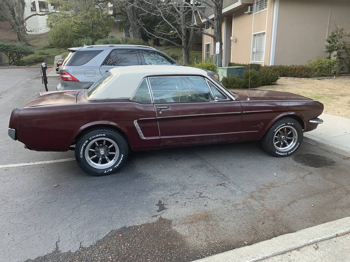 Ford-Mustang-1965-1