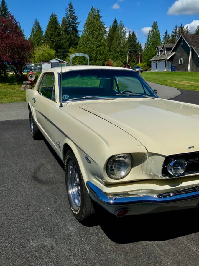 Ford-Mustang-1965-12