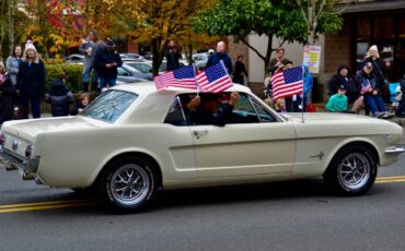 Ford-Mustang-1965-15