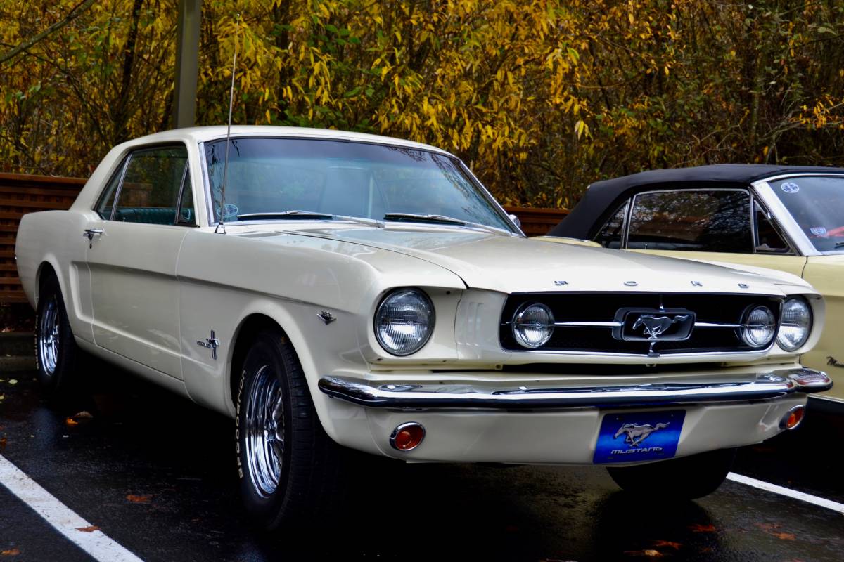 Ford-Mustang-1965-18