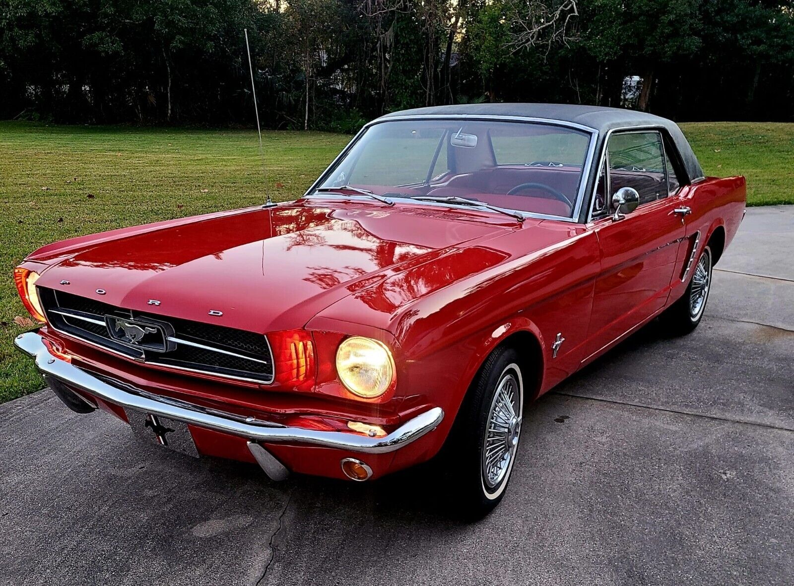 Ford-Mustang-1965-2