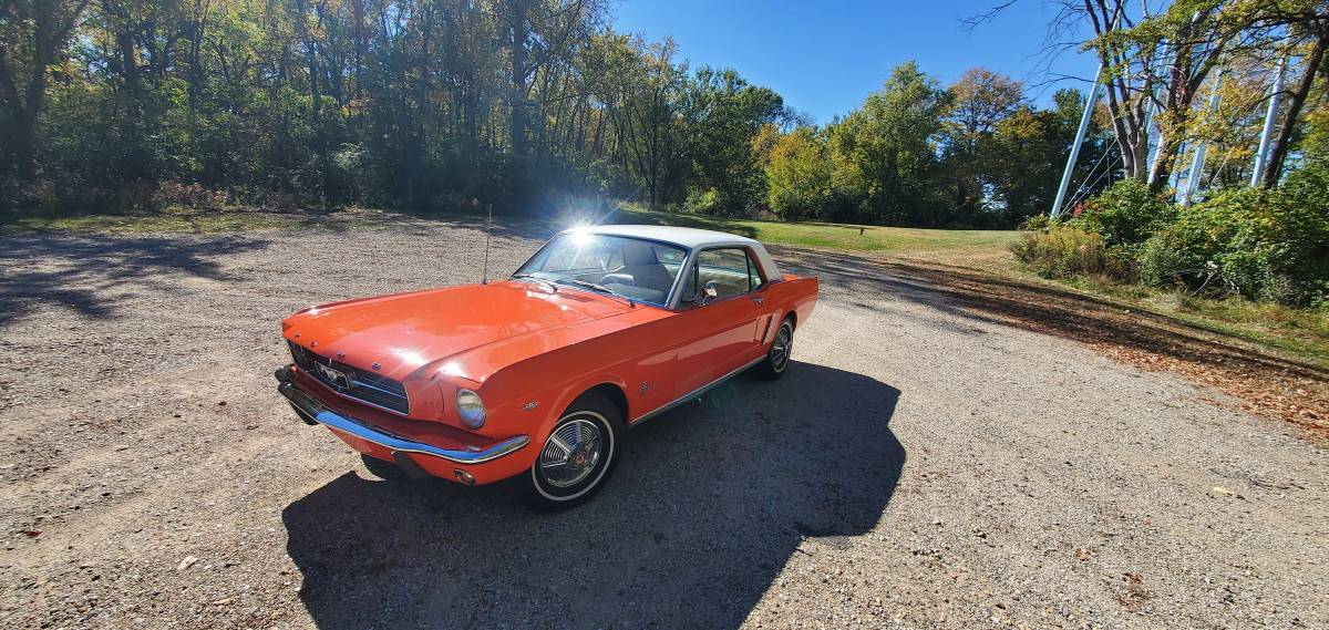 Ford-Mustang-1965-3