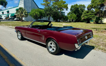 Ford-Mustang-1966-2