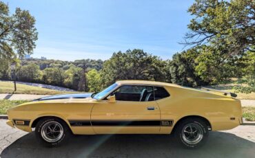 Ford-Mustang-1973-3