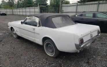 Ford-Mustang-Cabriolet-1966-3