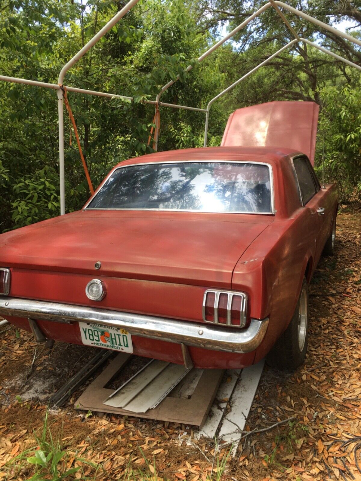 Ford-Mustang-Coupe-1965-1