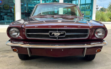 Ford-Mustang-Coupe-1965-1