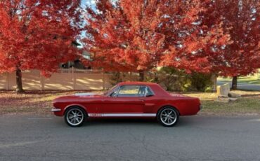 Ford-Mustang-Coupe-1965-1