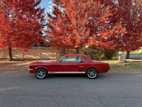 Ford-Mustang-Coupe-1965-1